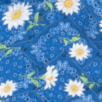 Blue Bandana