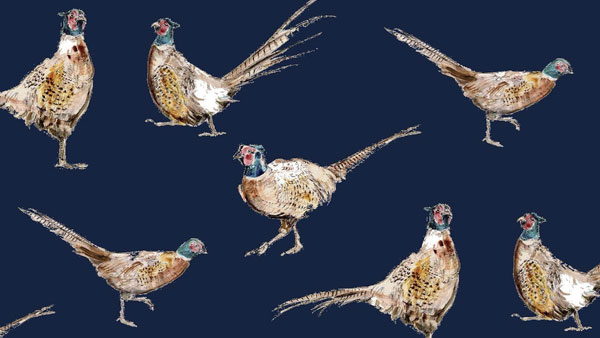 Pheasant Designs