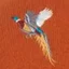 Rust Pheasants