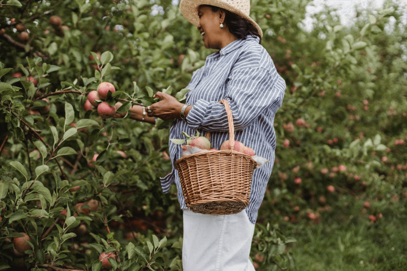 Apple Picking and Farm Visits