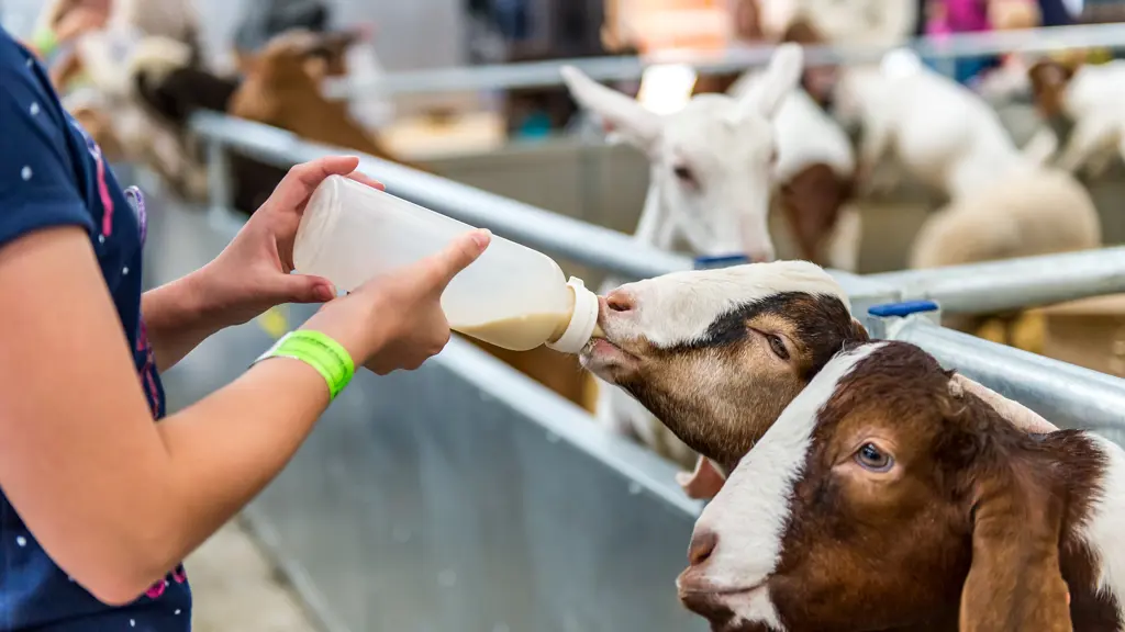 The Ultimate Guide to Spring in the UK: Unmissable Events and Stylish Seasonal Outfits 2 image7