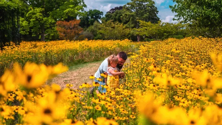 The Ultimate Guide to Summer in the UK: Experiences, Days Out & What to Wear 3 Hartwell Picture2